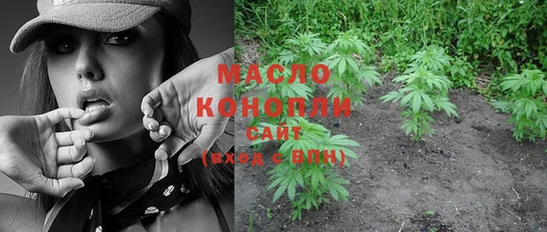 гашик Касимов