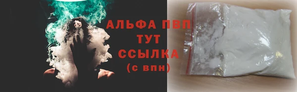 молекула духа Каменногорск