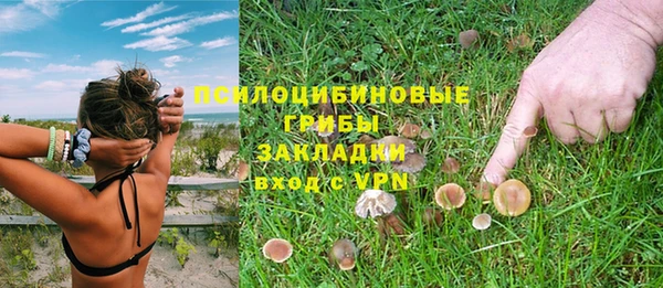 наркотики Каменка