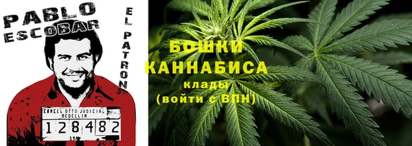 гашик Касимов