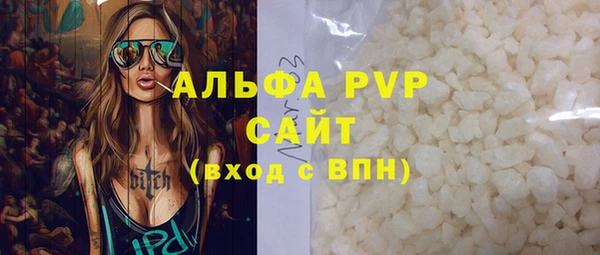 гашик Касимов