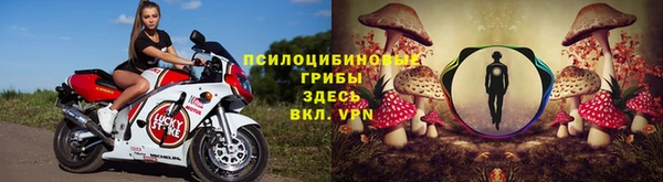 наркотики Каменка
